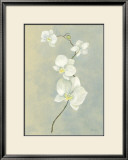 Buy Blue Orchid Stem at AllPosters.com