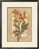 Buy Helleborus at AllPosters.com