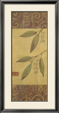 Buy Eucalyptus Leaves II at AllPosters.com