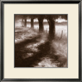 Buy Trees Along Path at AllPosters.com