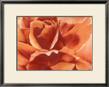 Buy Full in Bloom II at AllPosters.com
