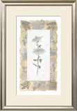 Buy Fuji Mum at AllPosters.com