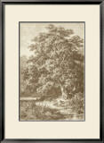 Buy Sepia Oak Tree at AllPosters.com