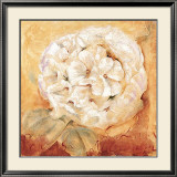 Buy Wild Romance at AllPosters.com