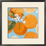 Fresh Oranges