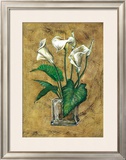 Flores Blancas II