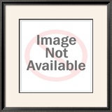 Buy Chateau Margaux at AllPosters.com