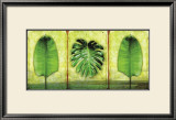 Buy The Tropics at AllPosters.com
