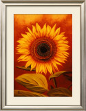 Buy King of Summer at AllPosters.com