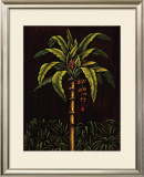 Buy Tropical Paradise II at AllPosters.com
