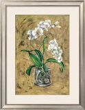 Flores Blancas I
