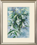 Buy White Lilies at AllPosters.com