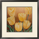Buy Orange Tulips at AllPosters.com