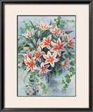 Buy Star Gazers at AllPosters.com