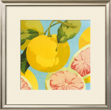 Buy Fresh Grapefruits at AllPosters.com