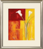 Callas Auf Warmen Rot
