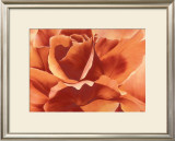 Buy Full in Bloom II at AllPosters.com