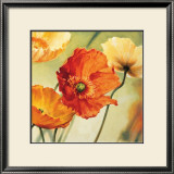 Buy Champs de Coquelicots II at AllPosters.com