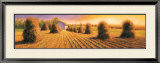 Buy Harvest at AllPosters.com