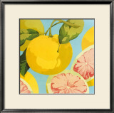 Buy Fresh Grapefruits at AllPosters.com