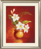 Buy Amaryllis at AllPosters.com