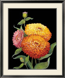 Buy Midnight Bloom II at AllPosters.com