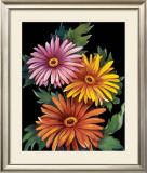 Buy Midnight Bloom III at AllPosters.com