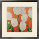 Buy White Tulips at AllPosters.com