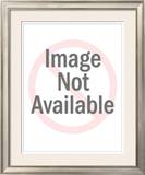 Buy Iris Series IV, Campanula at AllPosters.com