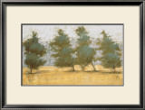 Buy Afternoon Haze at AllPosters.com