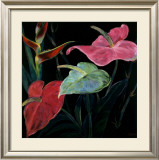 Buy In Bloom II at AllPosters.com