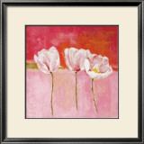 Fleurs en Rose II