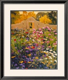 Adobe Compound Garden