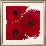 Buy Untitled X at AllPosters.com
