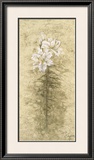Buy Lily Fair at AllPosters.com