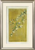 Buy Plum Blossoms II at AllPosters.com
