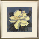 Buy Glowing Magnolia at AllPosters.com