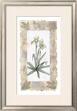Buy Elegant Orchid at AllPosters.com