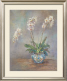 Buy Orchid Heirloom II at AllPosters.com
