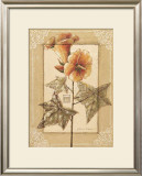 Buy Hibiscus Abelmoschus at AllPosters.com
