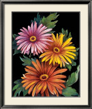 Buy Midnight Bloom III at AllPosters.com