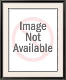 Buy Iris Series IV, Campanula at AllPosters.com