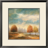 Buy Light and Shadows I at AllPosters.com