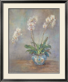 Buy Orchid Heirloom II at AllPosters.com