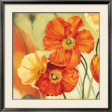 Buy Champs de Coquelicots I at AllPosters.com