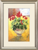 Buy Primula at AllPosters.com