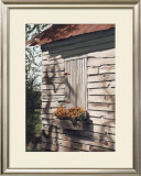 Buy Tree Spirit at AllPosters.com