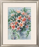 Buy Star Gazers at AllPosters.com