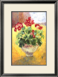Buy Primula at AllPosters.com