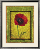 Buy Poppy at AllPosters.com